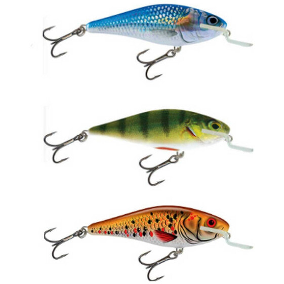 Рыбацкий воблер SALMO Executor Shallow Runner Minnow 120 мм