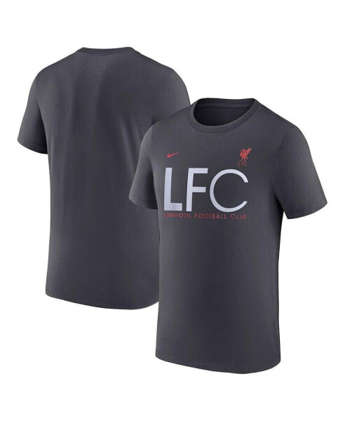 Men's Gray Liverpool Mercurial T-shirt