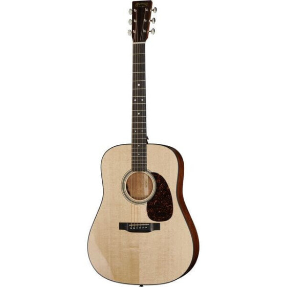 Martin Guitars D-16E-02