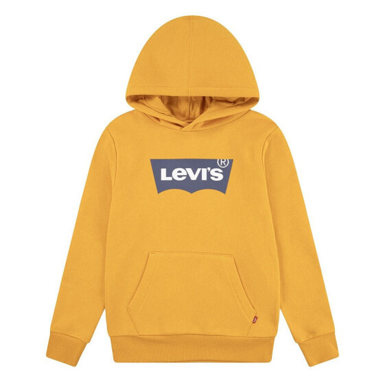 LEVI´S ® KIDS Batwing Screenprint hoodie