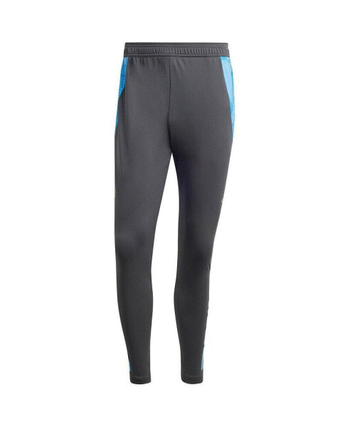 Men's Gray Argentina National Team 2024 AeroReady Training Pants