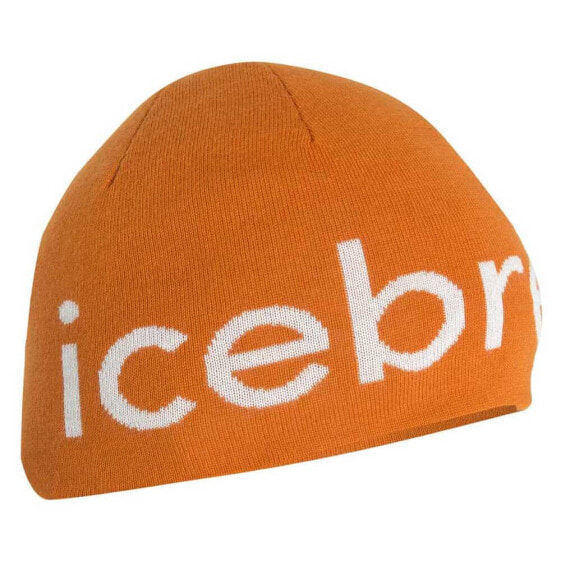 ICEBREAKER Merino Beanie