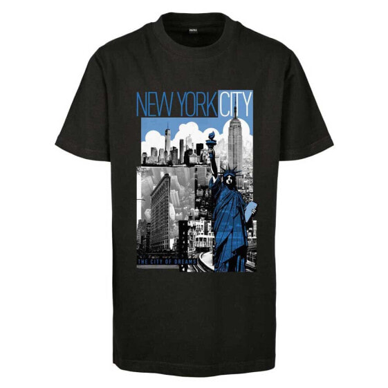 Футболка мужская Mister Tee New York City двухтонная