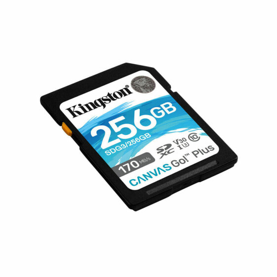 Карта памяти SD Kingston SDG3/256GB 256GB 256 GB