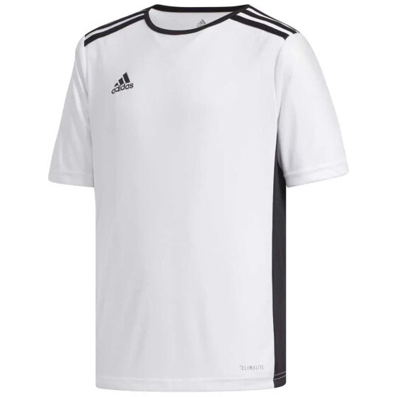 ADIDAS Entrada 18 short sleeve T-shirt