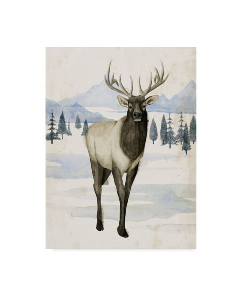 Grace Popp Alaskan Wilderness II Canvas Art - 15" x 20"