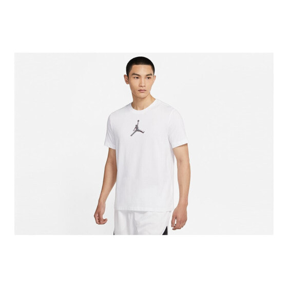 Футболка мужская Nike Air Jordan Dri-fit Air Graphic