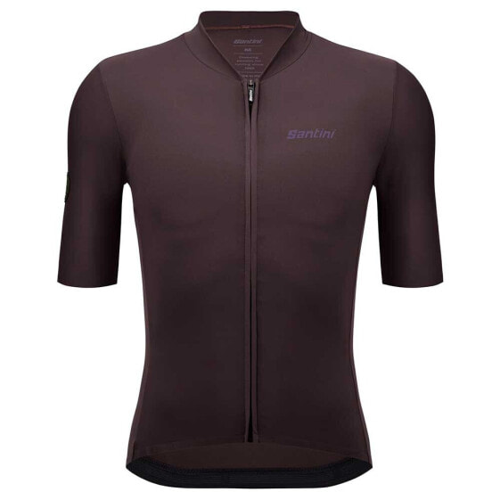 SANTINI Stone Light short sleeve jersey