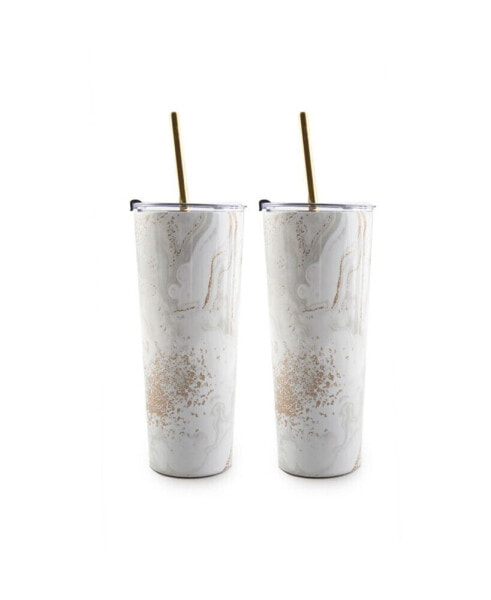 24 oz Insulated Straw Tumblers Set, 2 Piece