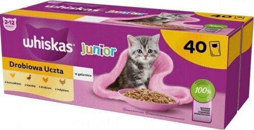 Whiskas WHISKAS Mokra Karma dla kota Gal Junior Drób 40x85g