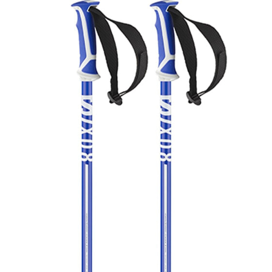 SALOMON X 08 Race Poles