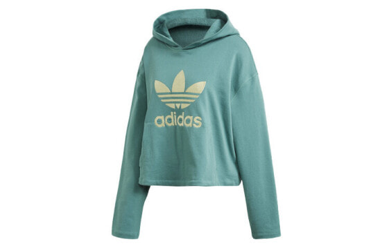 Adidas Originals Trendy Clothing Hoodie FM2649