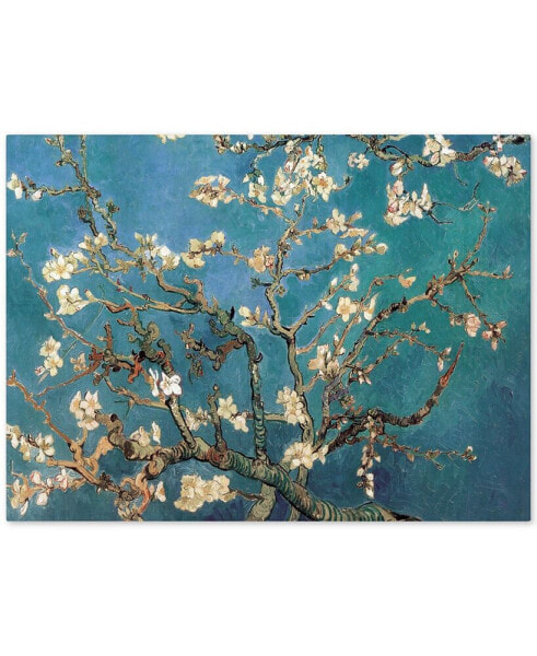 Vincent van Gogh 'Almond Blossoms' Canvas Art - 47" x 35"