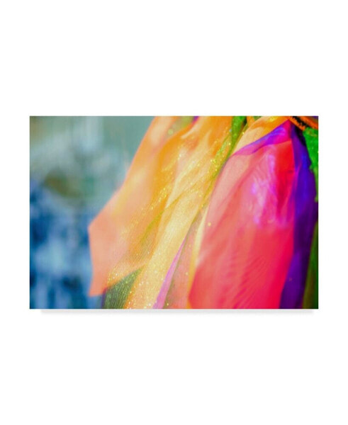 Pixie Pics Colorful Fashion Scarf Canvas Art - 15" x 20"