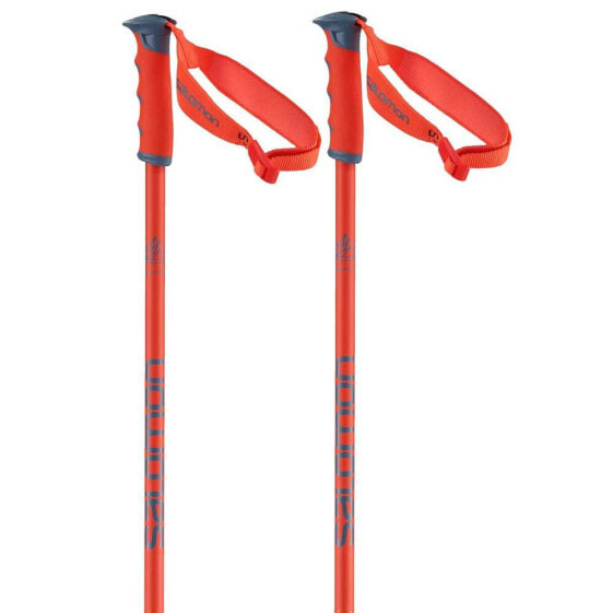 SALOMON Hacker S3 Poles