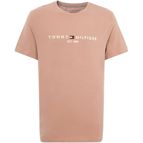 Футболка Tommy Hilfiger SS23 T 78J6318TMJ