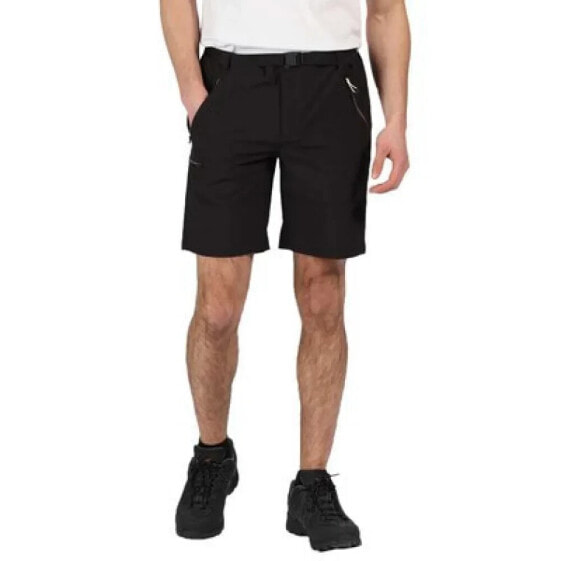 REGATTA Xert Stretch III Shorts