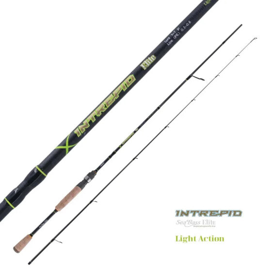 JATSUI Intrepid spinning rod