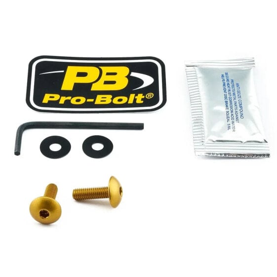 PRO BOLT SCR 2 SK670G Windshield Screws