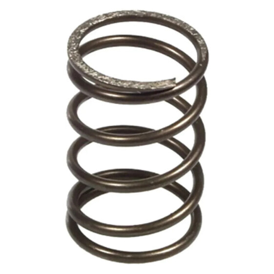 FERODO FSS0519 clutch spring kit