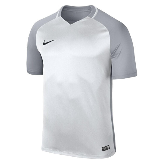 Мужская футболка спортивная серая с логотипом Nike Dry Trophy Iii Jsy