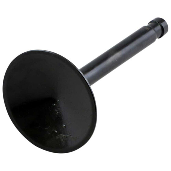 KIBBLEWHITE 20-4194 Intake Valve