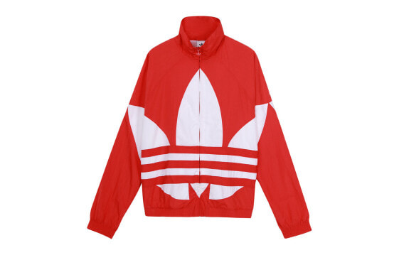 Adidas Originals BG Trefoil TT Logo Jacket