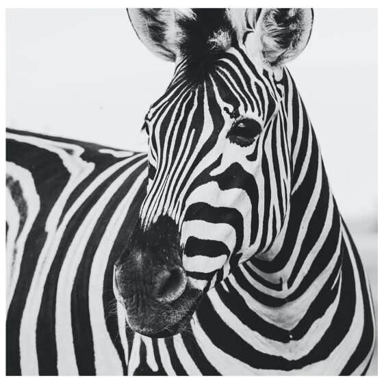 Декор и интерьер LegendArte Фоторамка Schnauze des Zebras