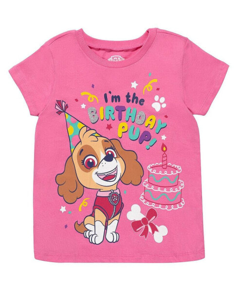 Toddler Girls Skye Rubble Chase Marshall Birthday T-Shirt