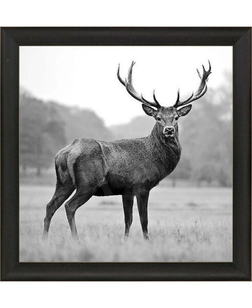 Proud Deer Framed Art