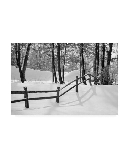 Monte Nagler Snow Scenes Canvas Art - 20" x 25"