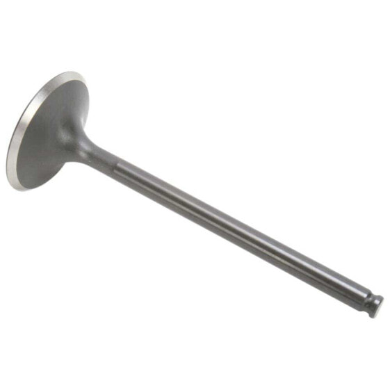 KIBBLEWHITE 96-96004 Intake Valve