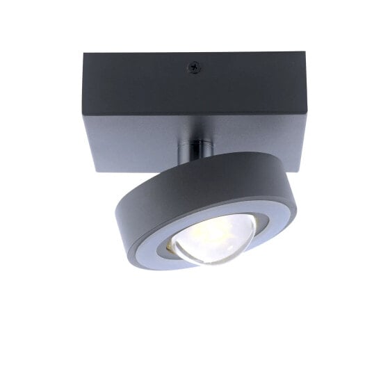 Потолочный светильник Paul Neuhaus Q®-MIA антрацитный LED со встроенным 10,0 Вт и 2,80 Вт LED-лампами - RGB и CCT изменение цвета, диммирование, светильник настенныйaddWidget.