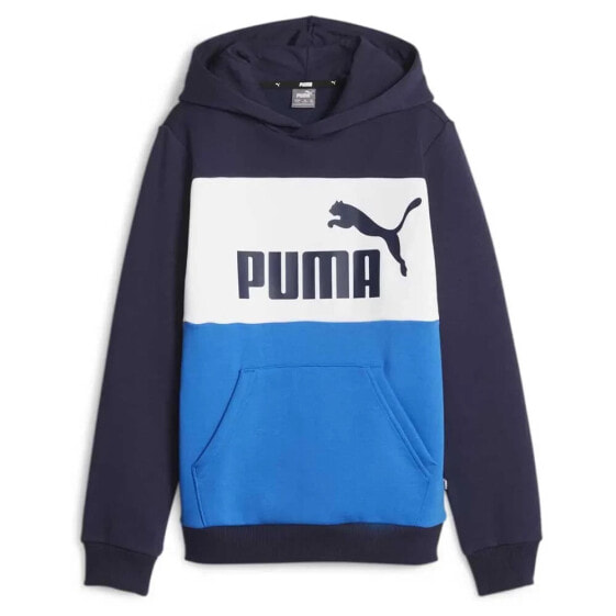 Серая спортивная толстовка PUMA Essentials 849081