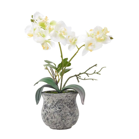 Künstliche weiß-grüne Phalaenopsis