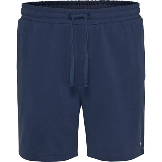 TOMMY JEANS College Pop Surfer shorts