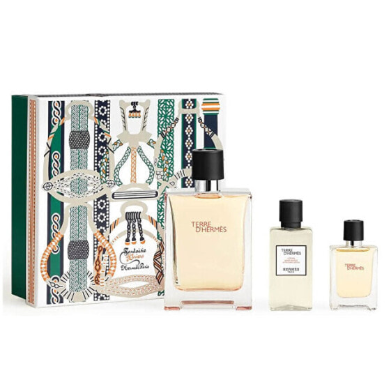 Terre D´ Hermes - EDT 100 ml + aftershave 40 ml + EDT 12.5 ml