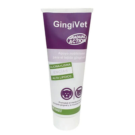 STANGEST Gingivet 100g Dog Cat Supplement