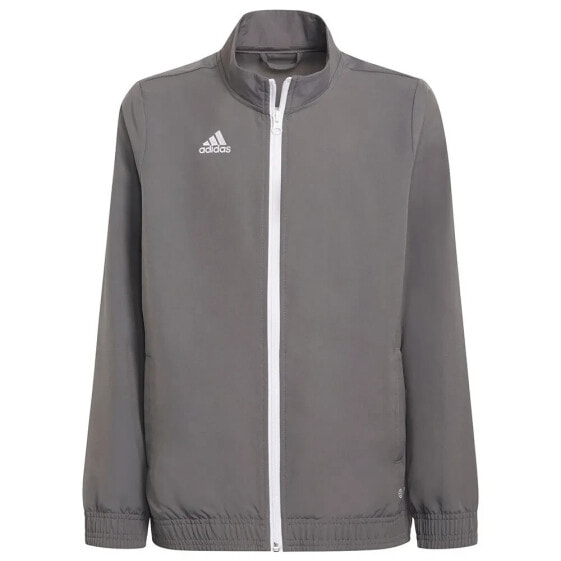 ADIDAS Entrada 22 Jacket