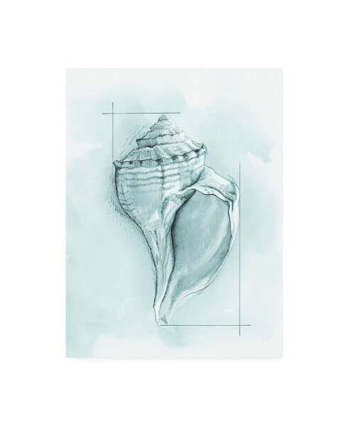 Megan Meagher Coastal Shell Schematic I Canvas Art - 19.5" x 26"