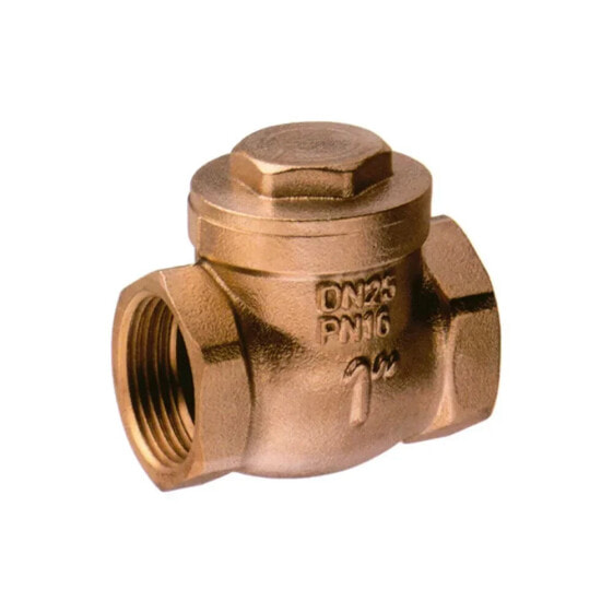 AIRAGA F/F Thread Swing Check Valve