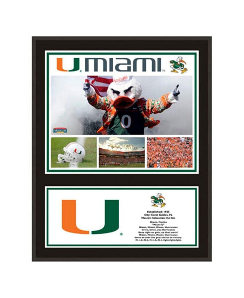 Miami Hurricanes 12'' x 15'' Sublimated Team Plaque
