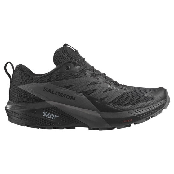 Кроссовки Salomon Sense Ride 5 Goretex