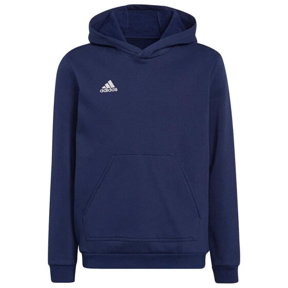 ADIDAS Entrada 22 hoodie