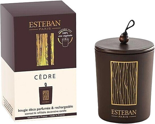 Esteban Cedre