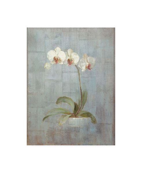Danhui Nai Elegant Orchid II Canvas Art - 15.5" x 21"