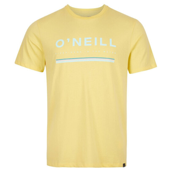 O´NEILL N2850009 Arrowhead short sleeve T-shirt