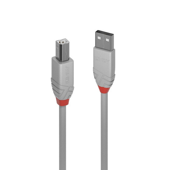 Кабель USB 2.0 Type A to B Lindy 0,5 м Anthra Line серый 0,5 м USB A USB B 480 Mбит/с Серый