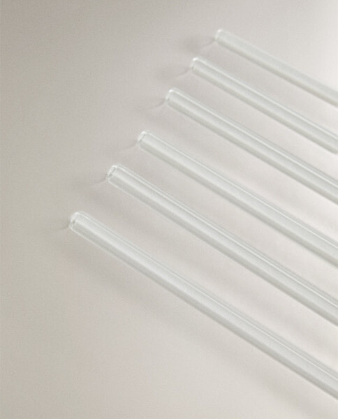 Pack of glass straws with fruits (pack of 6)