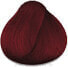 Ammoniakfreie Haarfarbe - Indus Valley Gel Colour 3.6 - Burgundy